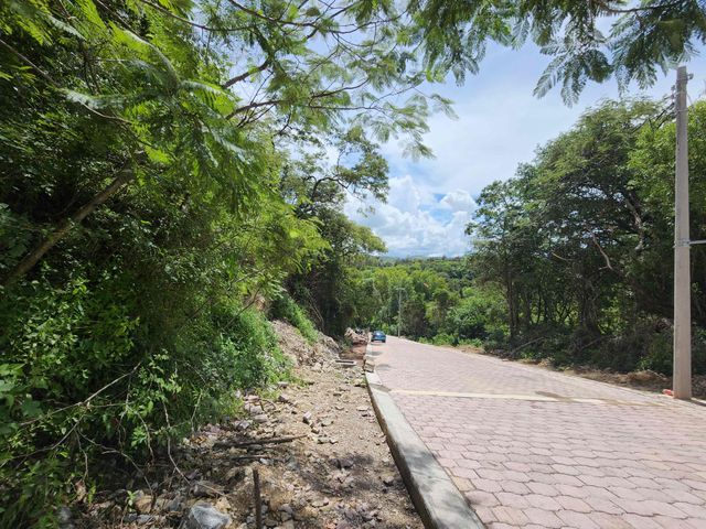 place photo 27