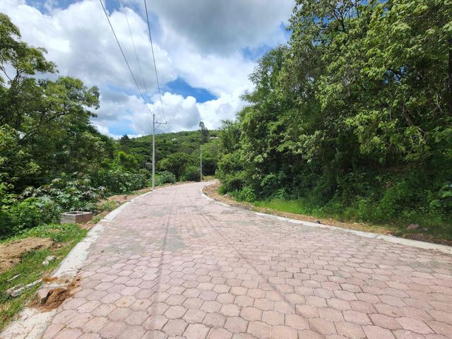 place photo 18