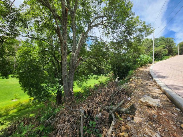 place photo 21