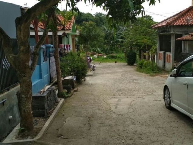 place photo 7