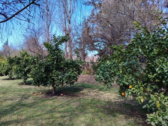 place photo 42
