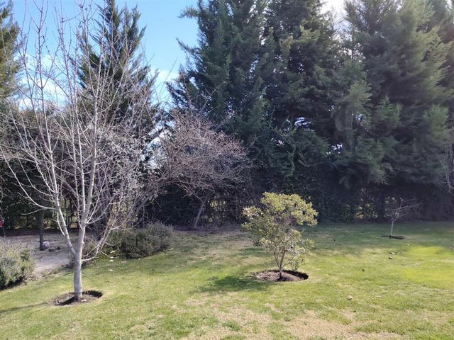 place photo 43