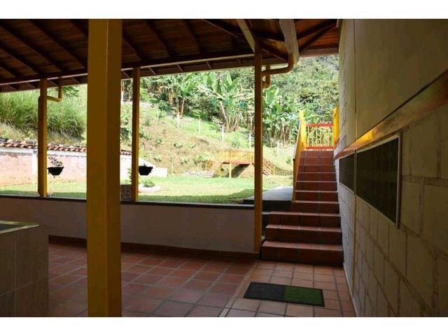 place photo 40