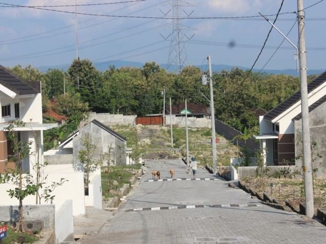 place photo 3