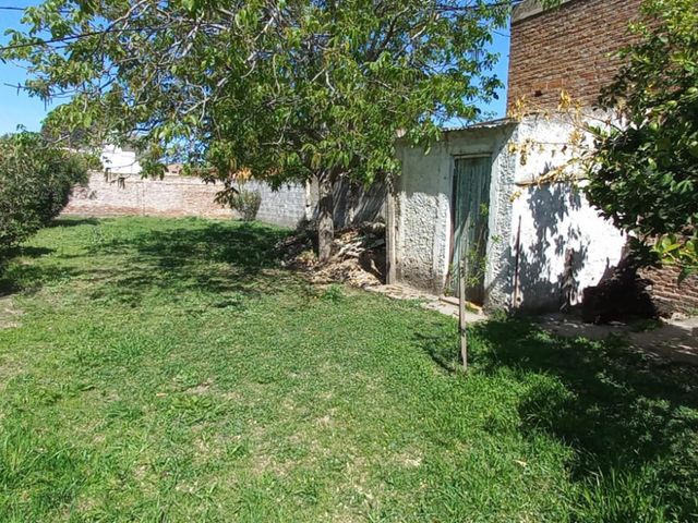 place photo 16
