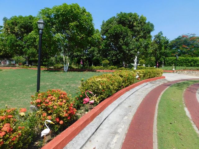place photo 13