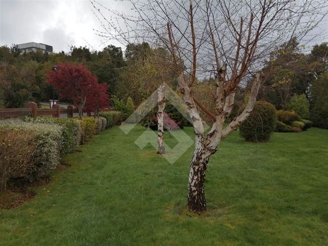 place photo 73