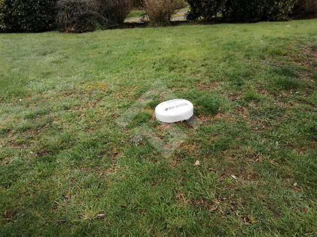 place photo 74