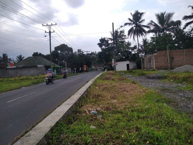 place photo 11