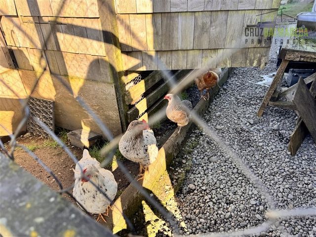 place photo 41