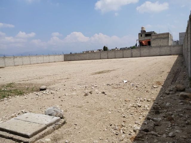 place photo 18