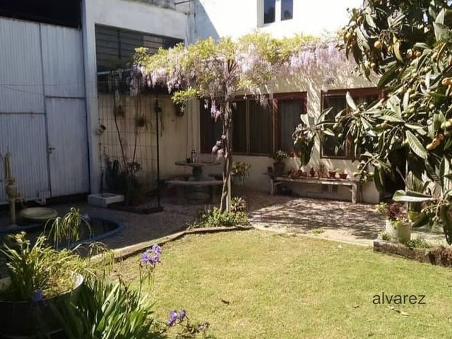 place photo 4