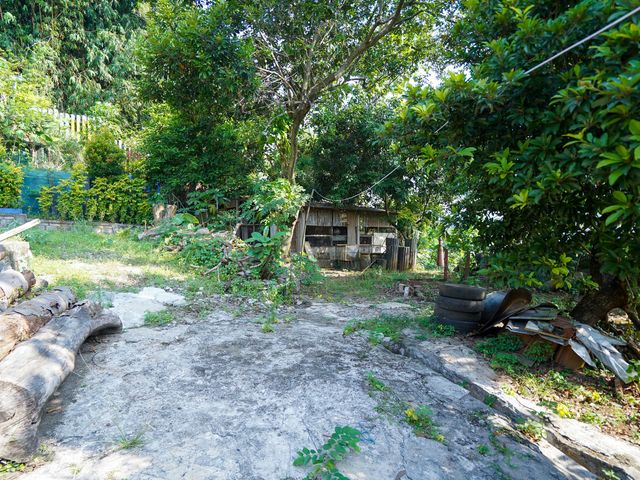 place photo 71