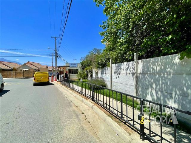 place photo 33