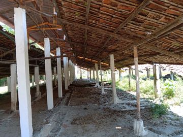 place photo 25