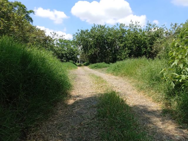 place photo 26