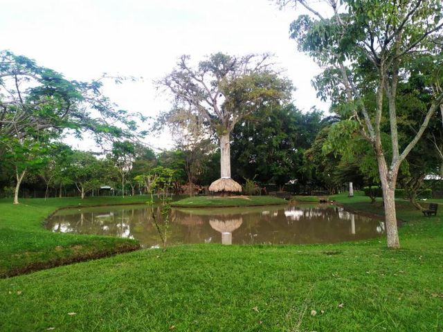 place photo 28