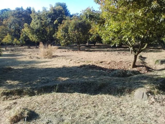 place photo 22