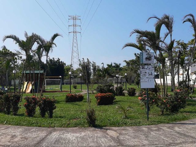 place photo 45