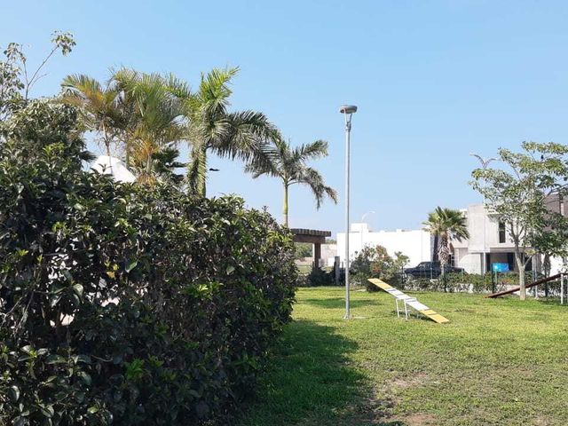 place photo 32