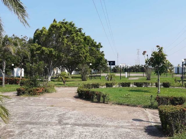 place photo 39