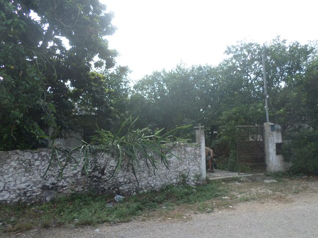 place photo 22