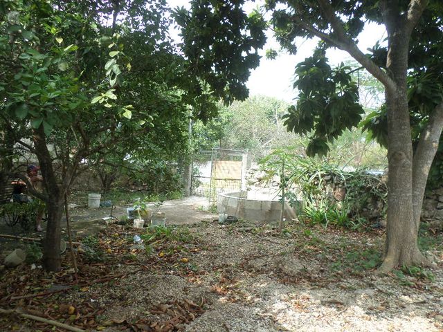 place photo 18