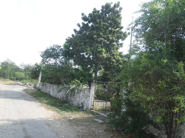 place photo 21