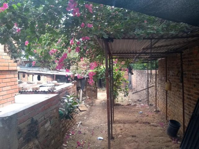 place photo 22