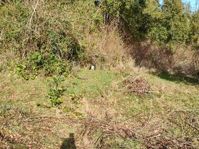 place photo 51