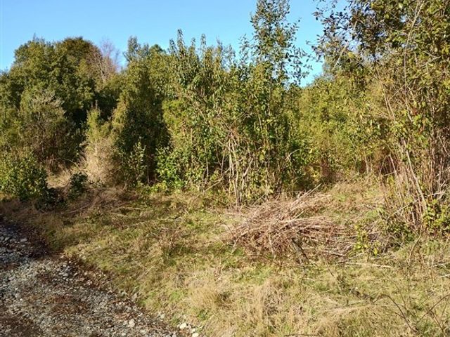 place photo 49