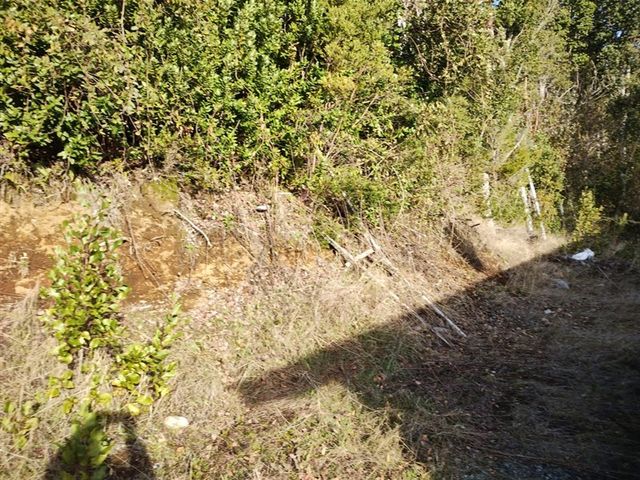 place photo 39