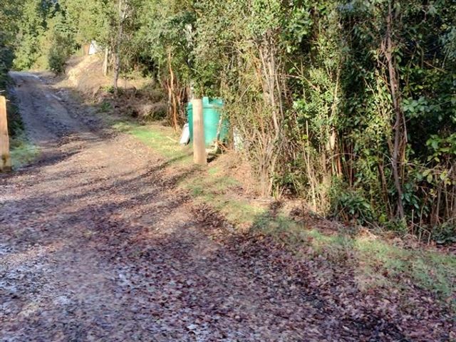 place photo 48