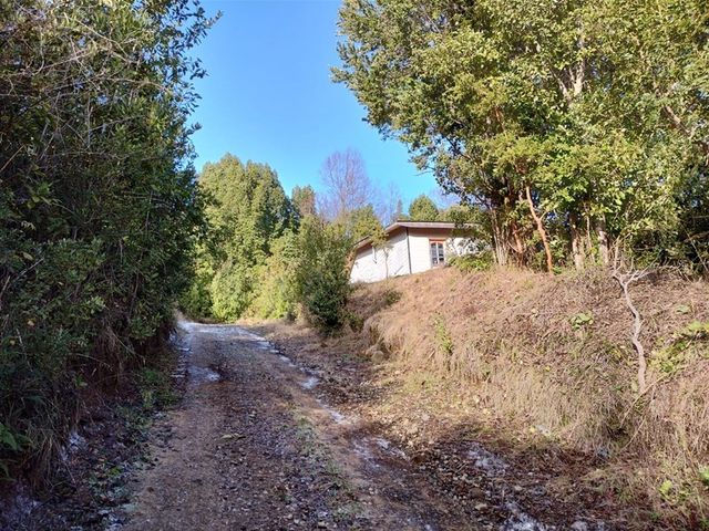place photo 59