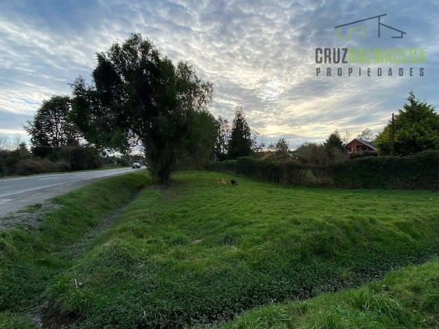 place photo 29