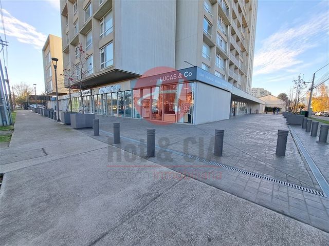 place photo 18