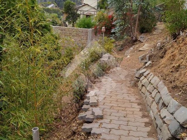 place photo 27