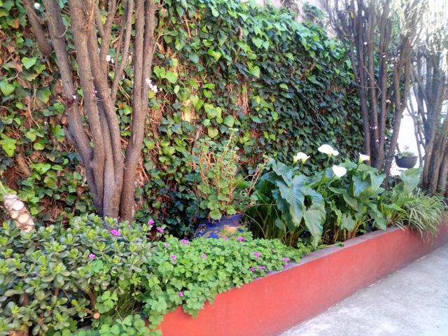 place photo 67