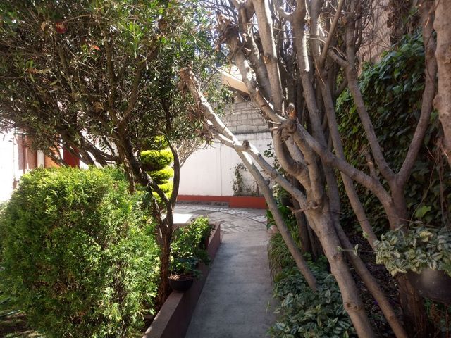 place photo 58