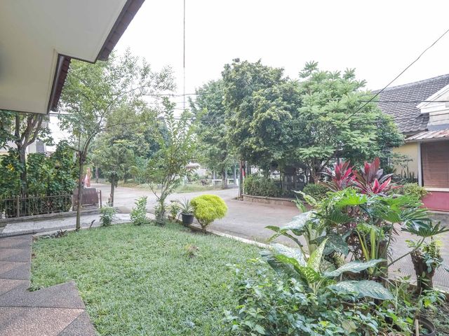 place photo 55