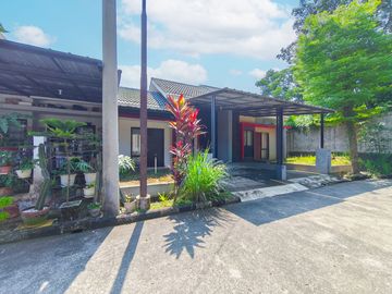 place photo 29