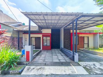 place photo 24