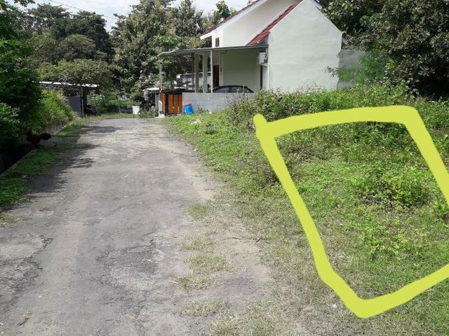 place photo 6