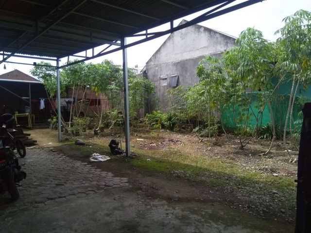 place photo 13