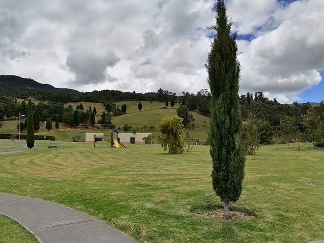 place photo 21