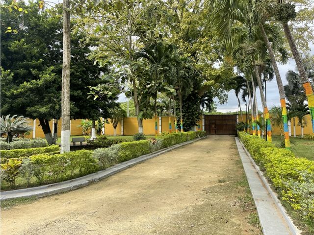 place photo 37