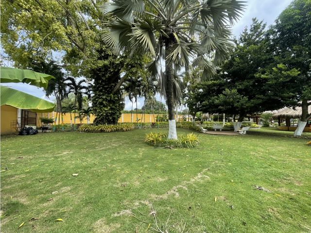 place photo 35