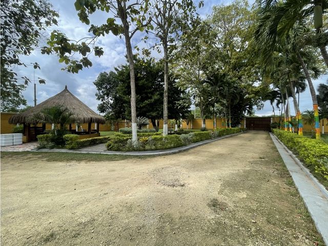 place photo 33