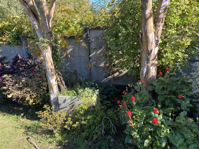 place photo 45