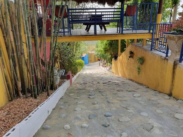 place photo 12